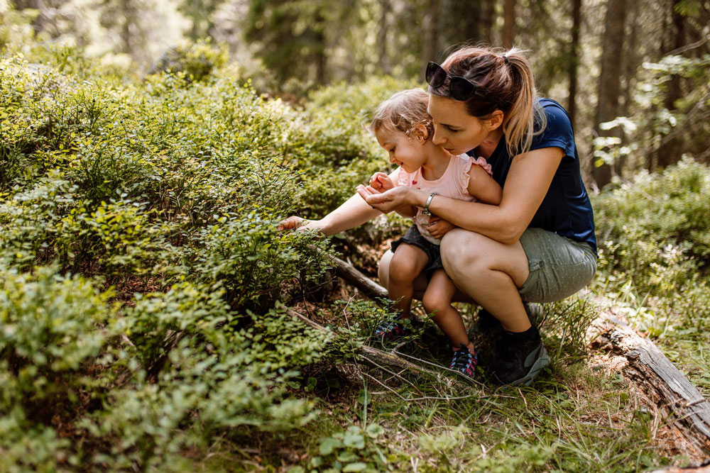 En mamma och sitt barn plockar blåbär